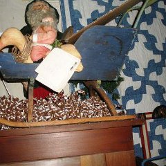 OLYMPUS DIGITAL CAMERA         